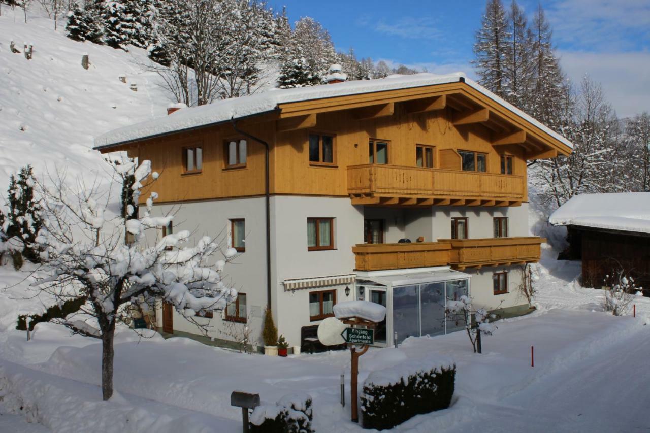 Appartement Schoenfeld Зальбах-Хинтерглемм Экстерьер фото